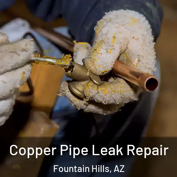  Copper Pipe Leak Repair Fountain Hills, AZ