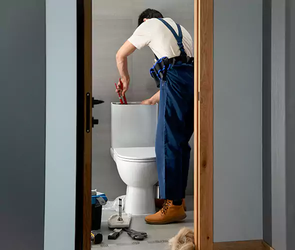 Professional Plumbers for Toilet Bowl Replacement in Fountain Hills, AZ: Schedule Affordable Toilet Replacement Services With Us