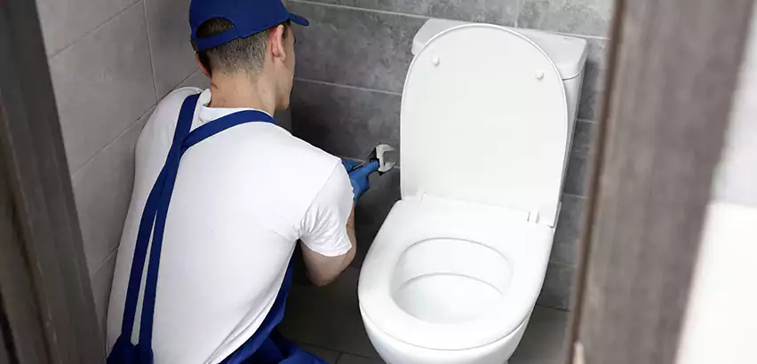 Toilet Lid Replacement in Fountain Hills