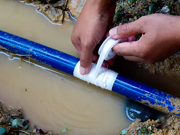  Why Choose Plumbing Pro Fountain Hills for Leak Detection in Fountain Hills, AZ?]