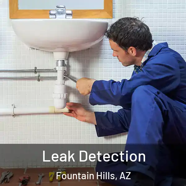  Leak Detection Fountain Hills, AZ