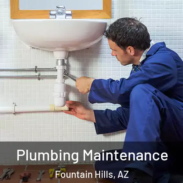  Plumbing Maintenance Fountain Hills, AZ
