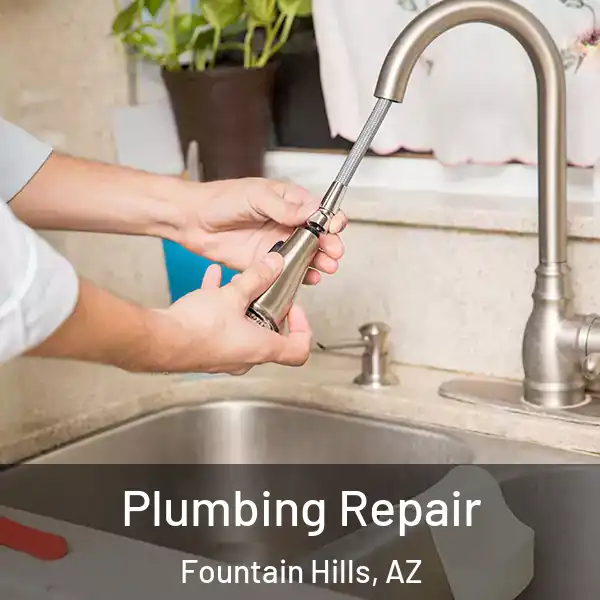  Plumbing Repair Fountain Hills, AZ
