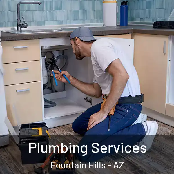  Plumbing Services Fountain Hills - AZ
