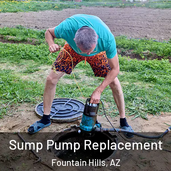  Sump Pump Replacement Fountain Hills, AZ
