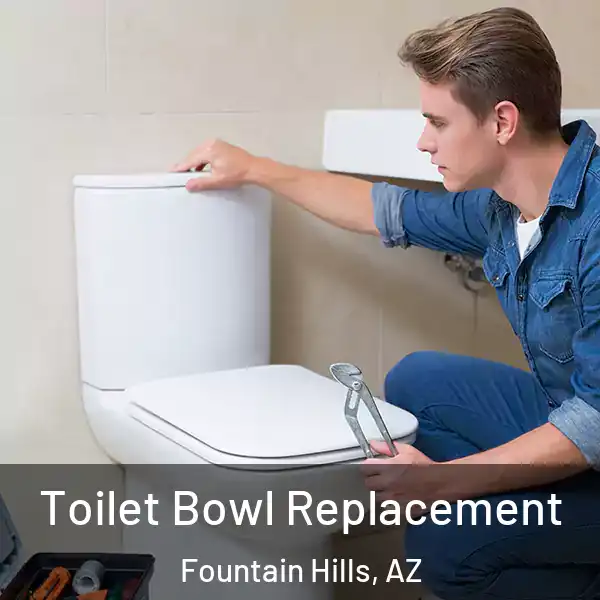  Toilet Bowl Replacement Fountain Hills, AZ