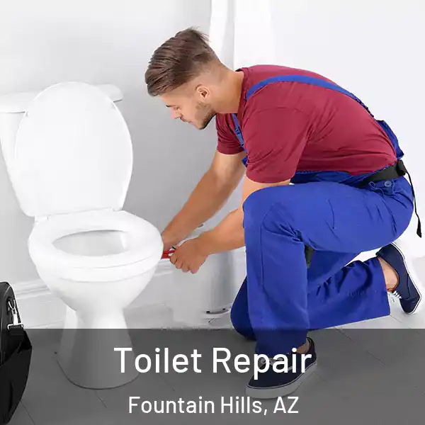  Toilet Repair Fountain Hills, AZ