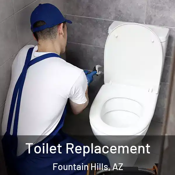  Toilet Replacement Fountain Hills, AZ