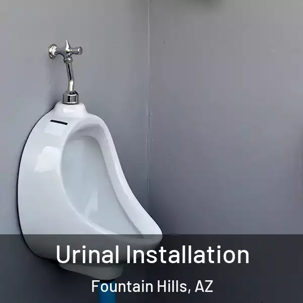  Urinal Installation Fountain Hills, AZ