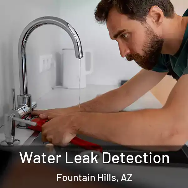  Water Leak Detection Fountain Hills, AZ