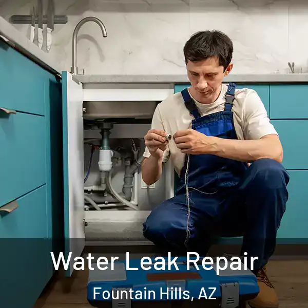  Water Leak Repair Fountain Hills, AZ